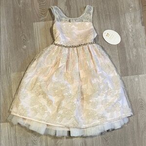 American Princess Light Pink and Gold Floral Dress